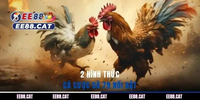 2 hình thức cá cược gà 79 nổi bật