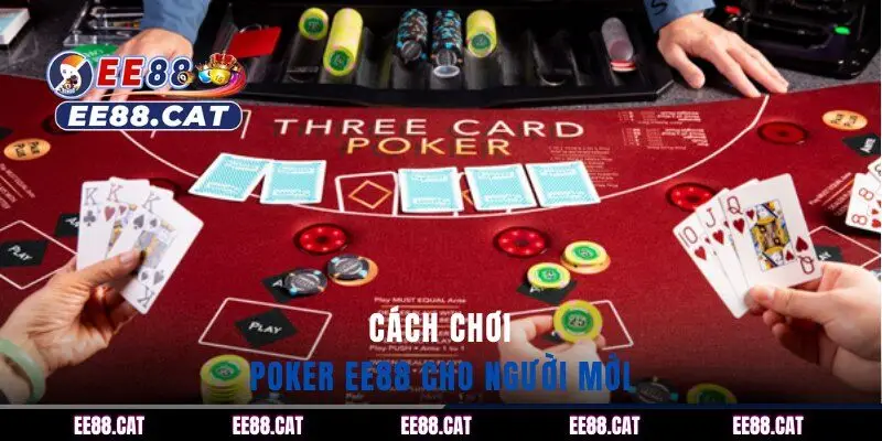 Cách chơi poker EE88 cho người mới