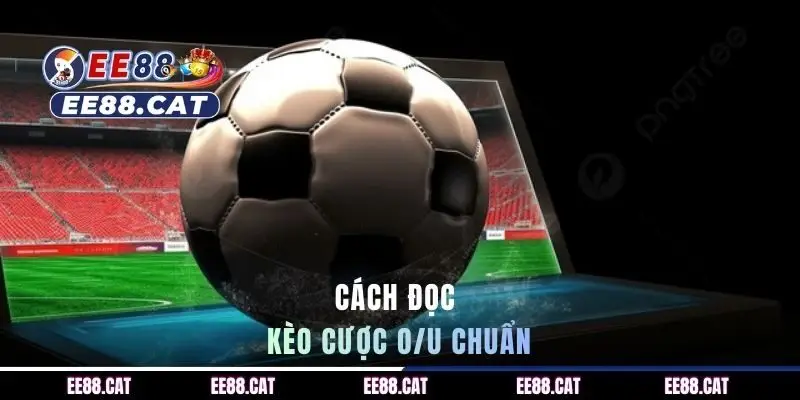 Cách đọc kèo cược O/U chuẩn