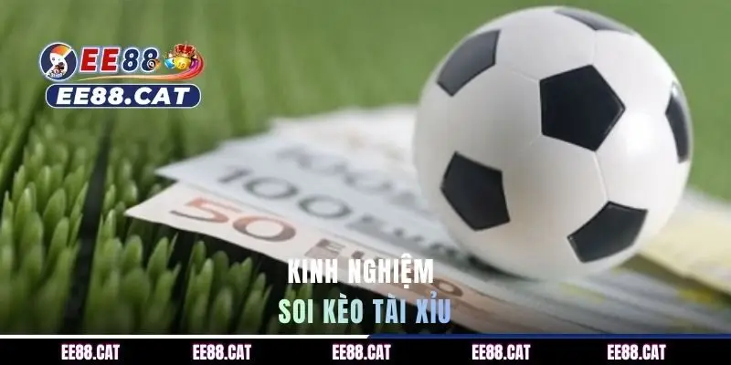 Kinh nghiệm soi kèo tài xỉu tăng tỷ lệ chiến thắng