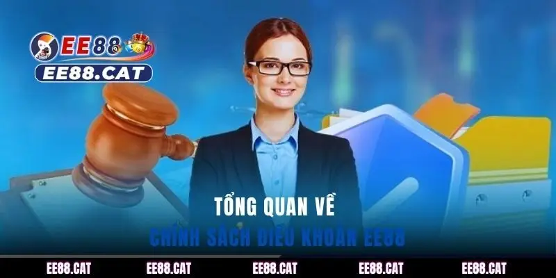 Tổng quan về chính sách điều khoản EE88